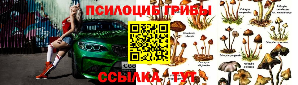 Псилоцибиновые грибы GOLDEN TEACHER  Галлюциногенные грибы мухоморы  Курчалой  Вход с VPN 